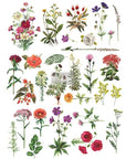 Siirtokuva Floral Collection