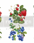 Small transfer image Doodle Flowers