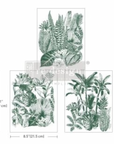 Middy Transfers® - Magic Jungle