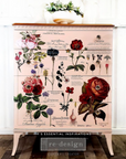 Decor Transfer Vintage Botanical