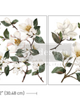 Maxi Transfer - Magnolia Garden