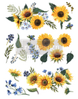 Tryck Blossom Botanica