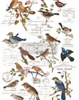 Decor Transfers - Meet Me In The Garden