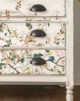 Decor Transfers® Siirtokuva -  Blue Vine
