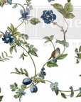 Decor Transfers® Siirtokuva -  Chirping Charm